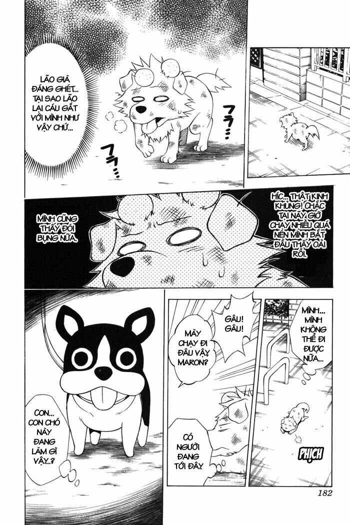Bọn tớ thích cậu! Rito: Chapter 43