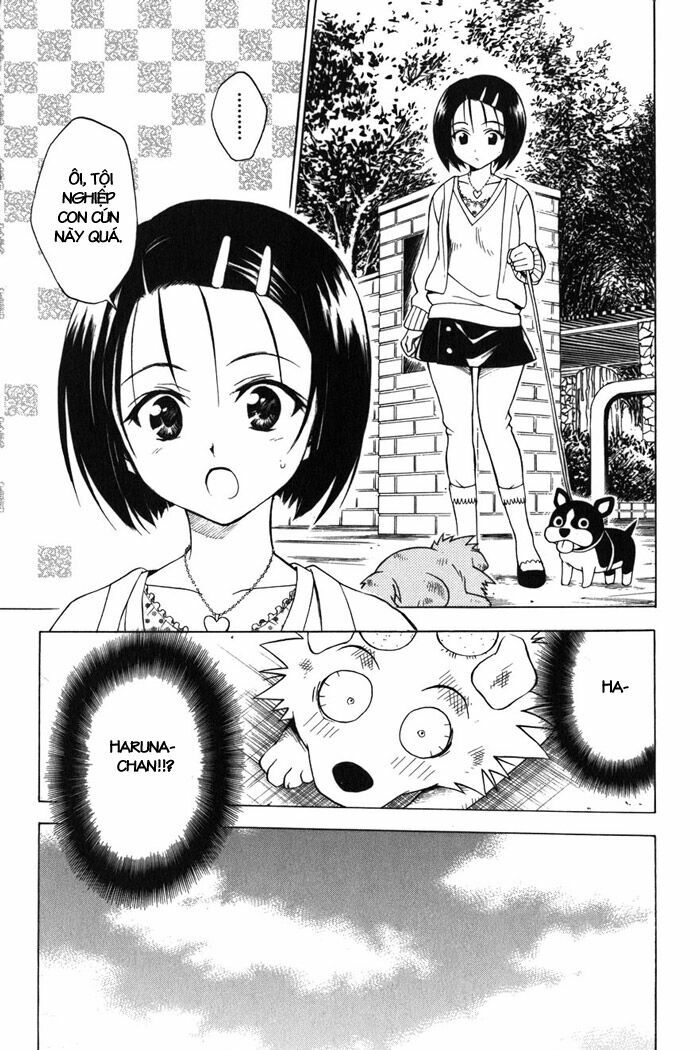 Bọn tớ thích cậu! Rito: Chapter 43