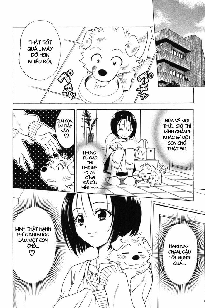 Bọn tớ thích cậu! Rito: Chapter 43