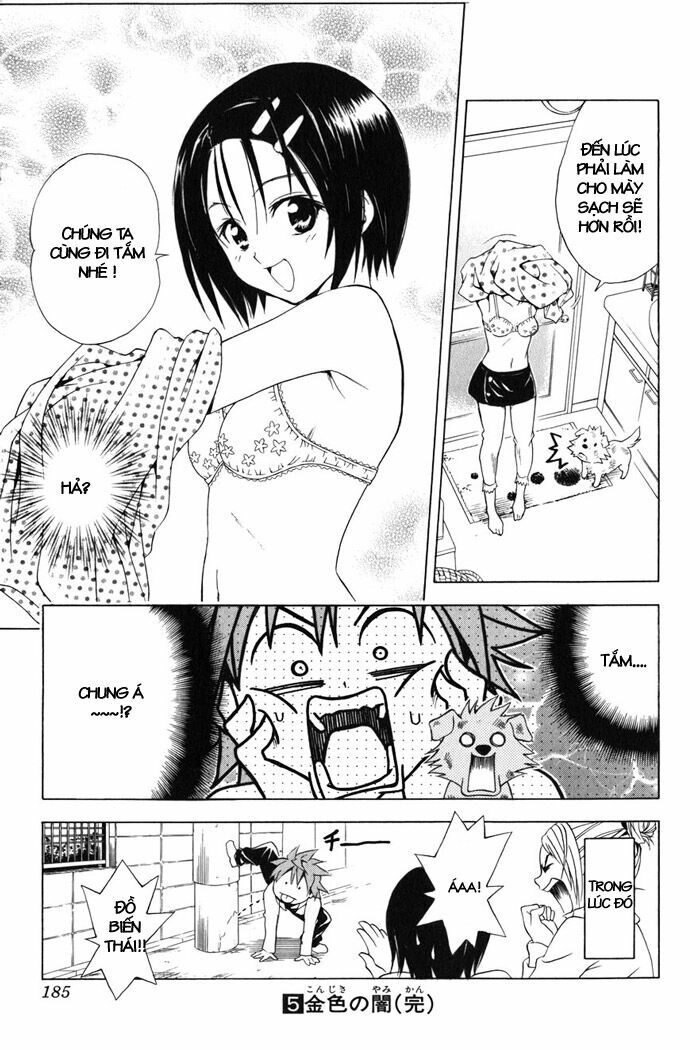 Bọn tớ thích cậu! Rito: Chapter 43