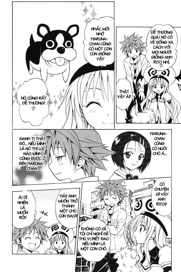 Bọn tớ thích cậu! Rito: Chapter 43
