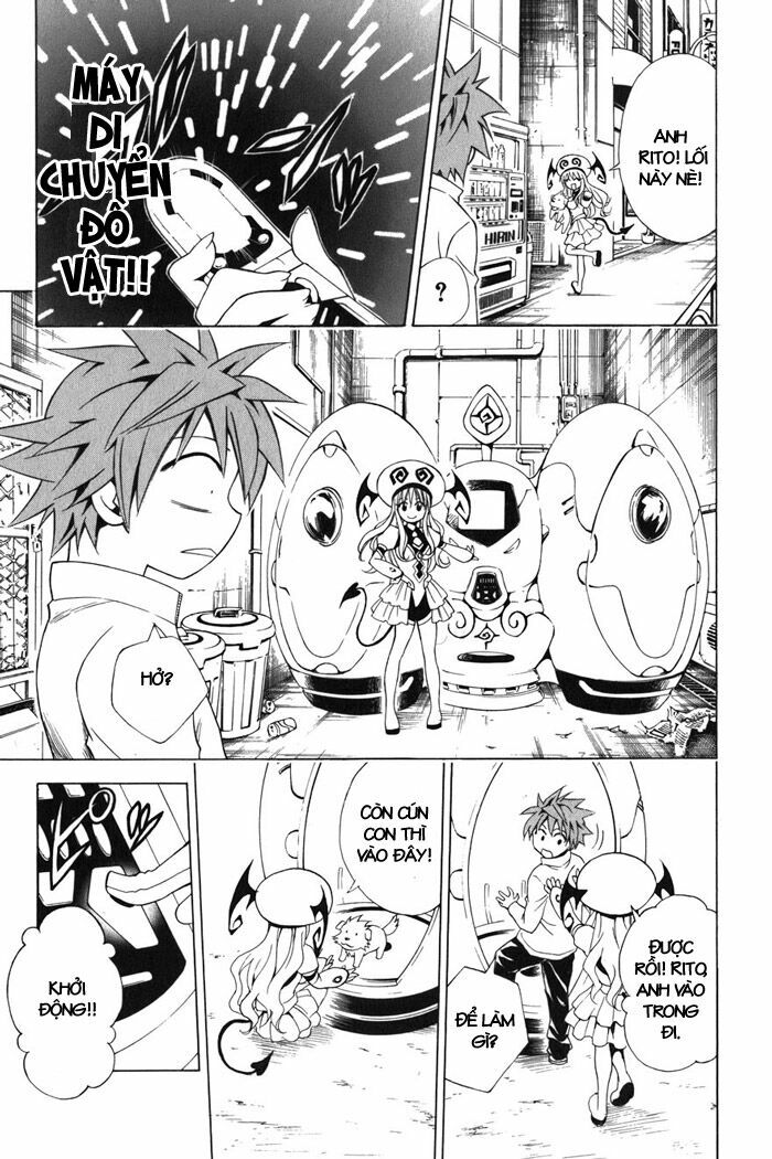 Bọn tớ thích cậu! Rito: Chapter 43