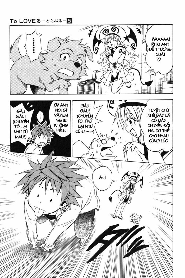 Bọn tớ thích cậu! Rito: Chapter 43
