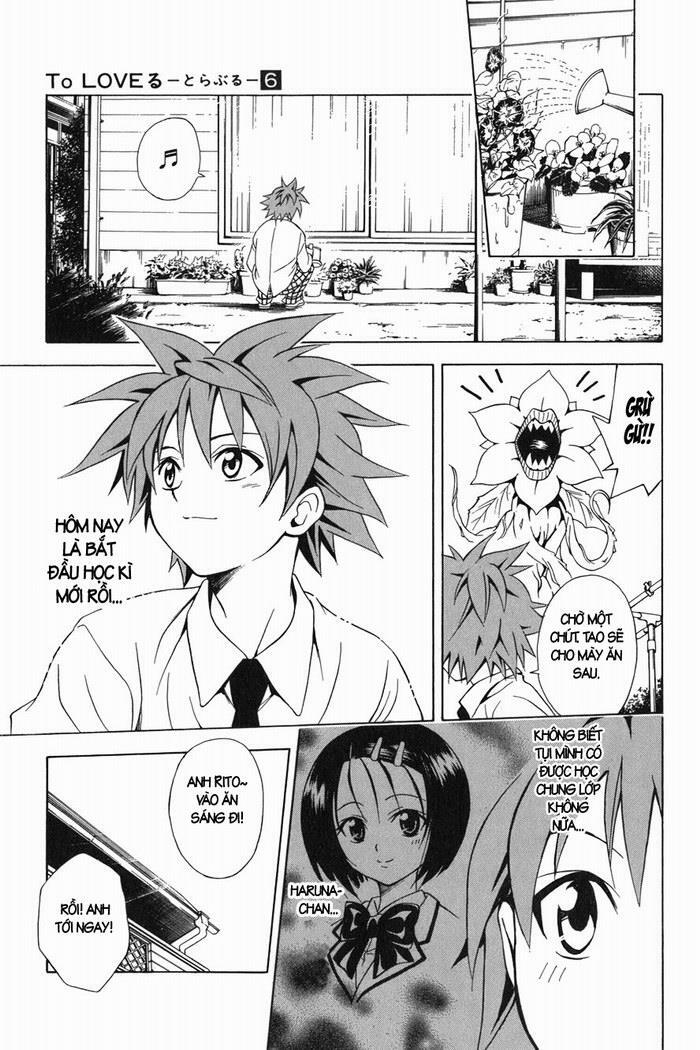 Bọn tớ thích cậu! Rito: Chapter 49