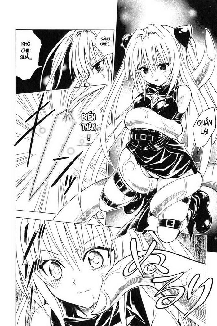 Bọn tớ thích cậu! Rito: Chapter 58