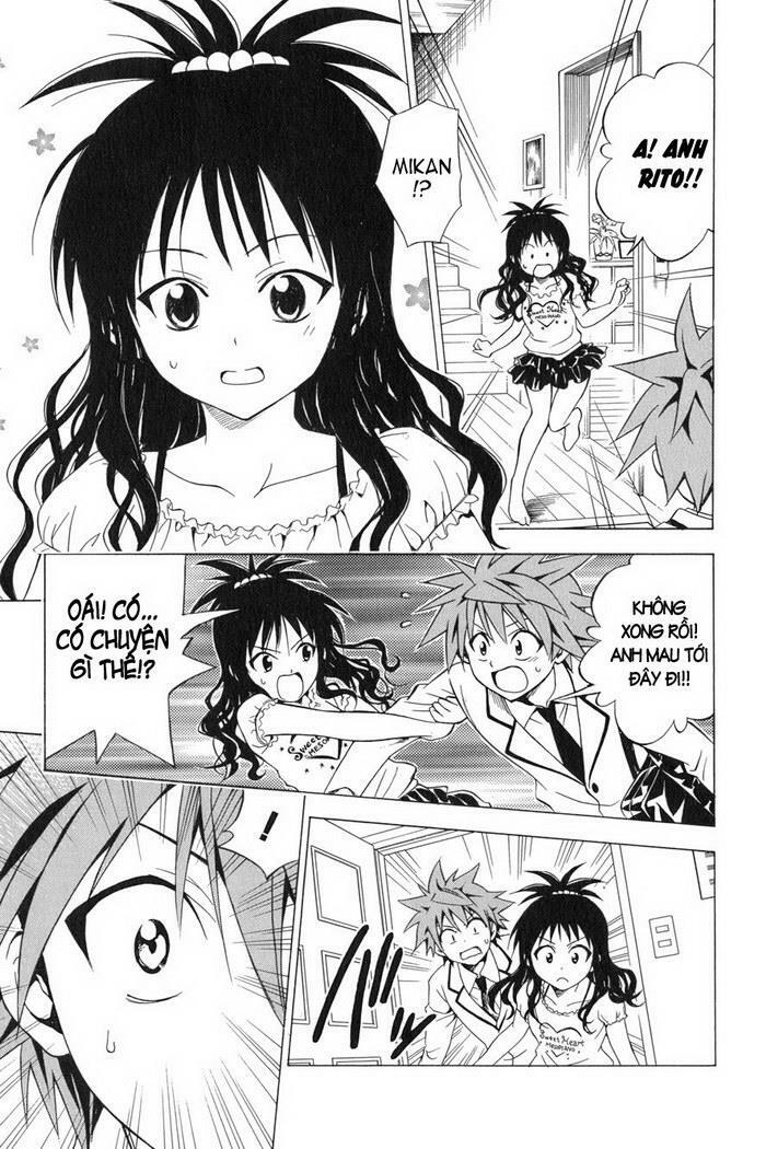 Bọn tớ thích cậu! Rito: Chapter 60