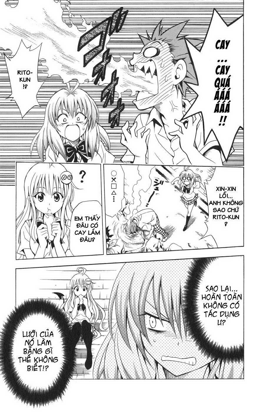 Bọn tớ thích cậu! Rito: Chapter 63