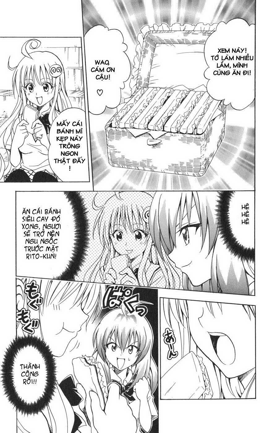 Bọn tớ thích cậu! Rito: Chapter 63