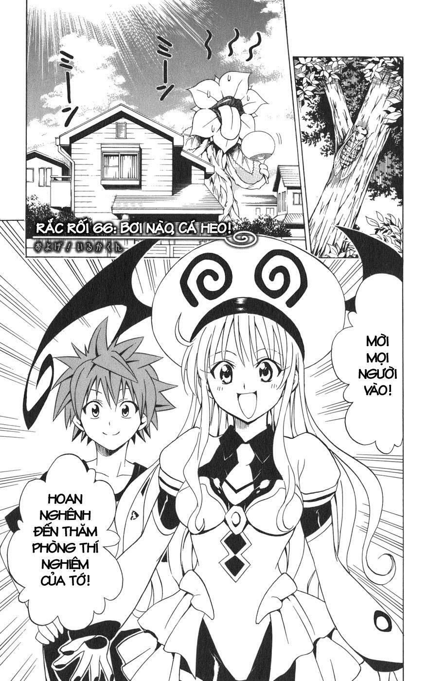 Bọn tớ thích cậu! Rito: Chapter 66