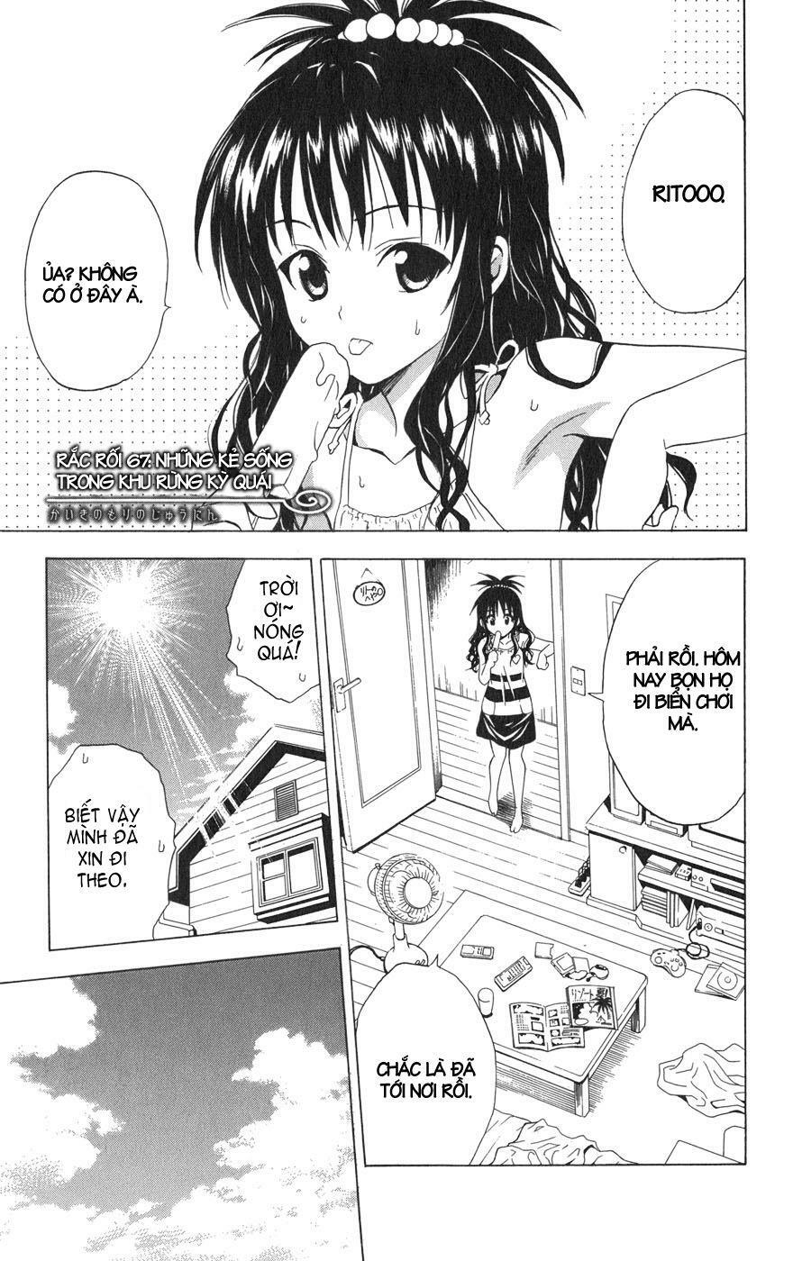 Bọn tớ thích cậu! Rito: Chapter 67
