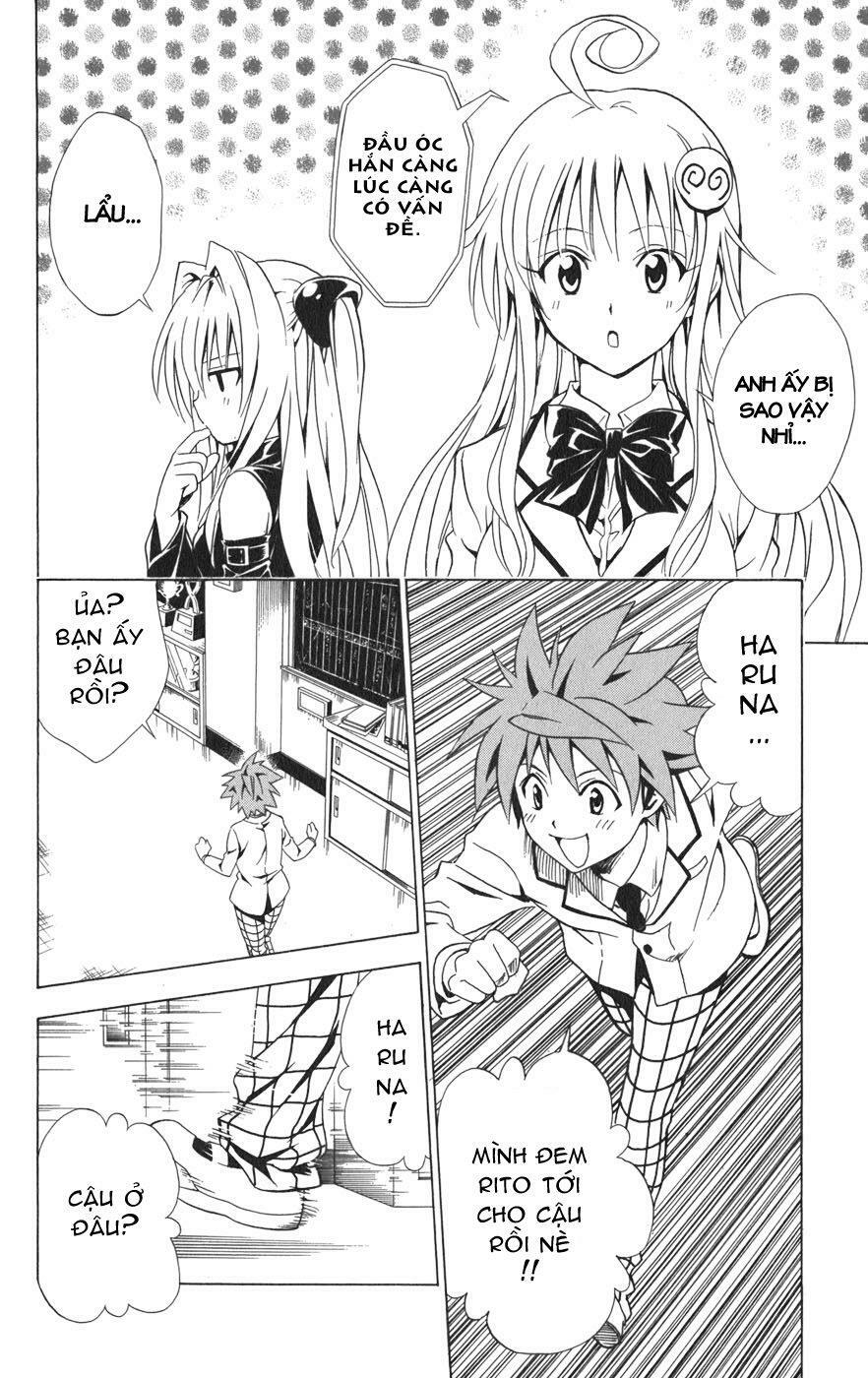 Bọn tớ thích cậu! Rito: Chapter 75