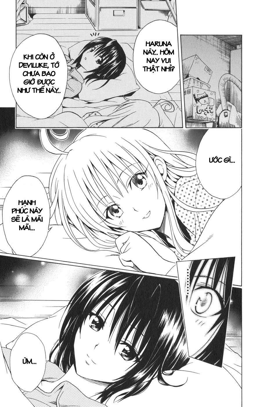 Bọn tớ thích cậu! Rito: Chapter 77