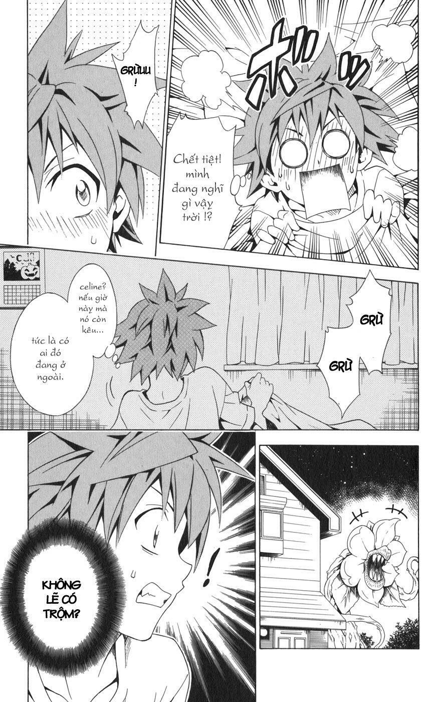 Bọn tớ thích cậu! Rito: Chapter 77