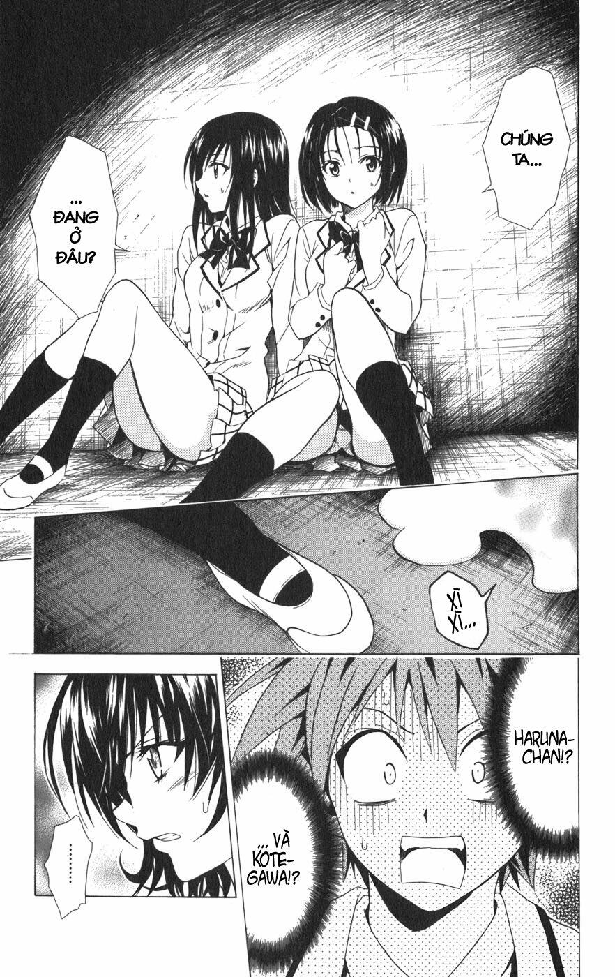 Bọn tớ thích cậu! Rito: Chapter 78