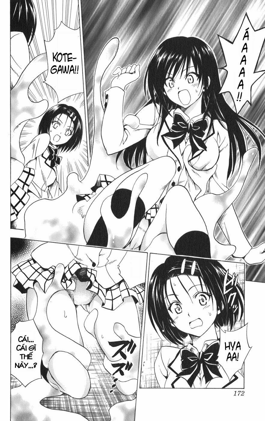 Bọn tớ thích cậu! Rito: Chapter 79