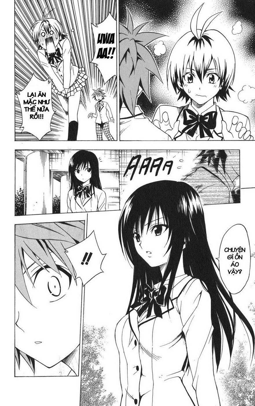 Bọn tớ thích cậu! Rito: Chapter 82