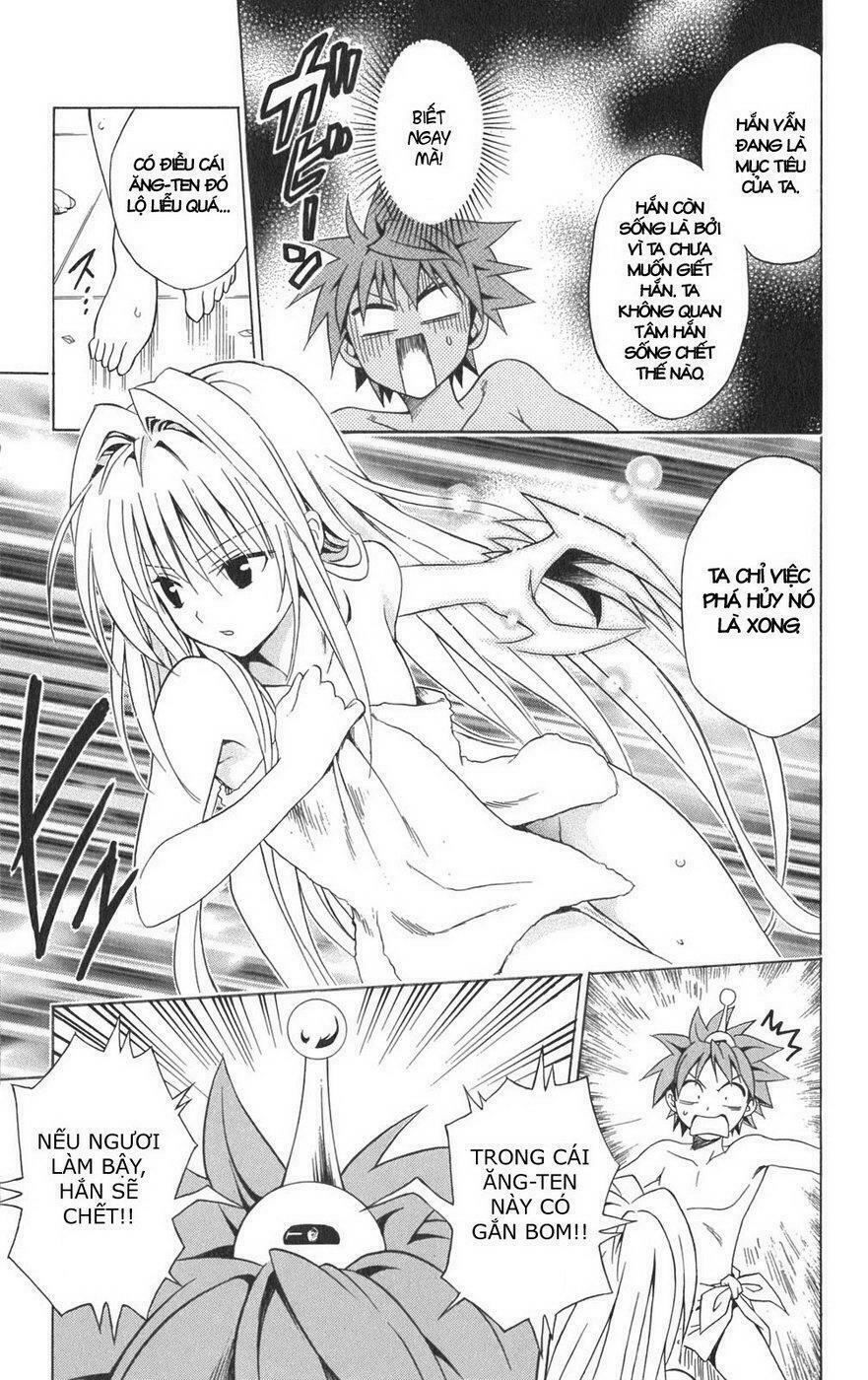 Bọn tớ thích cậu! Rito: Chapter 88