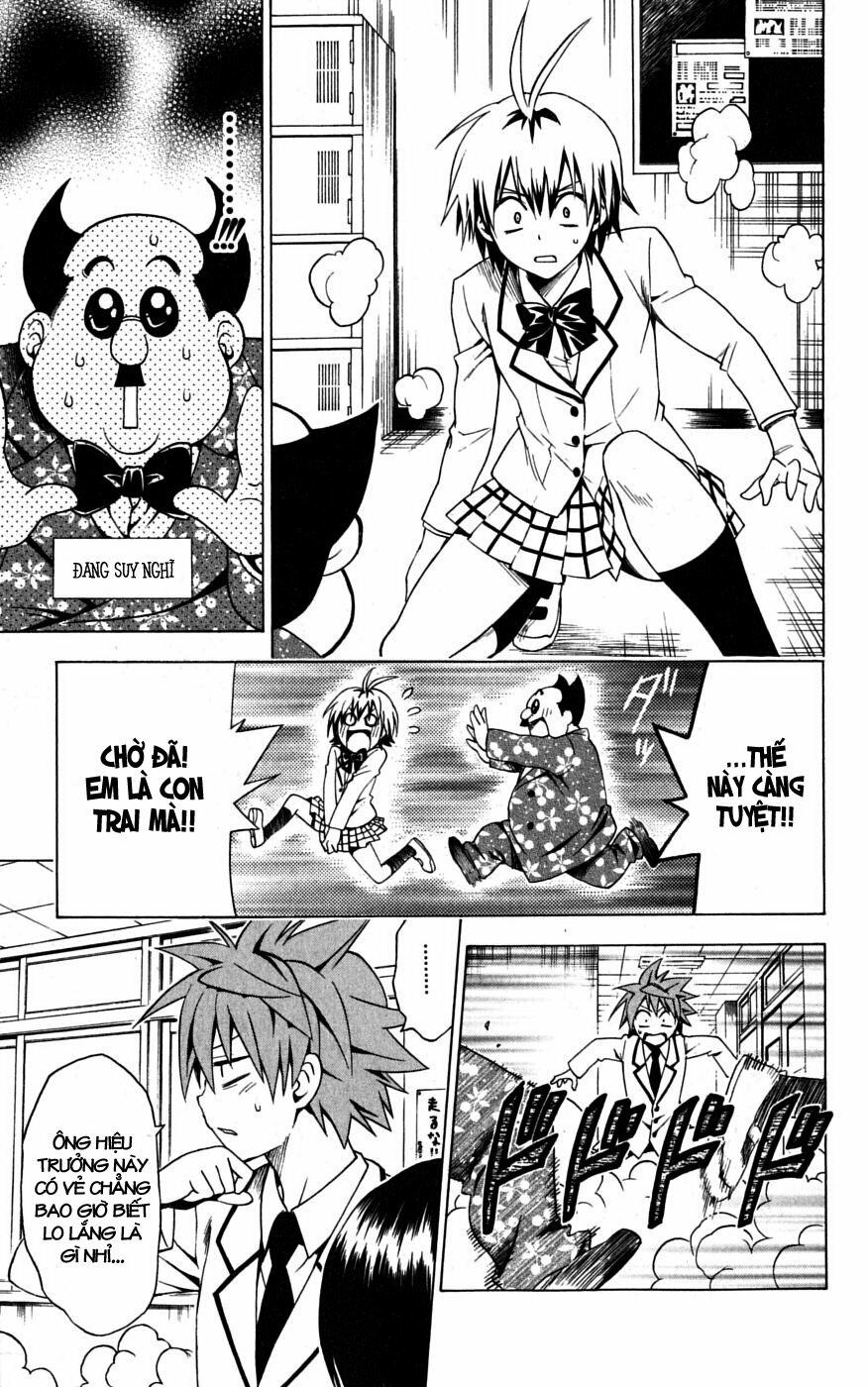Bọn tớ thích cậu! Rito: Chapter 99