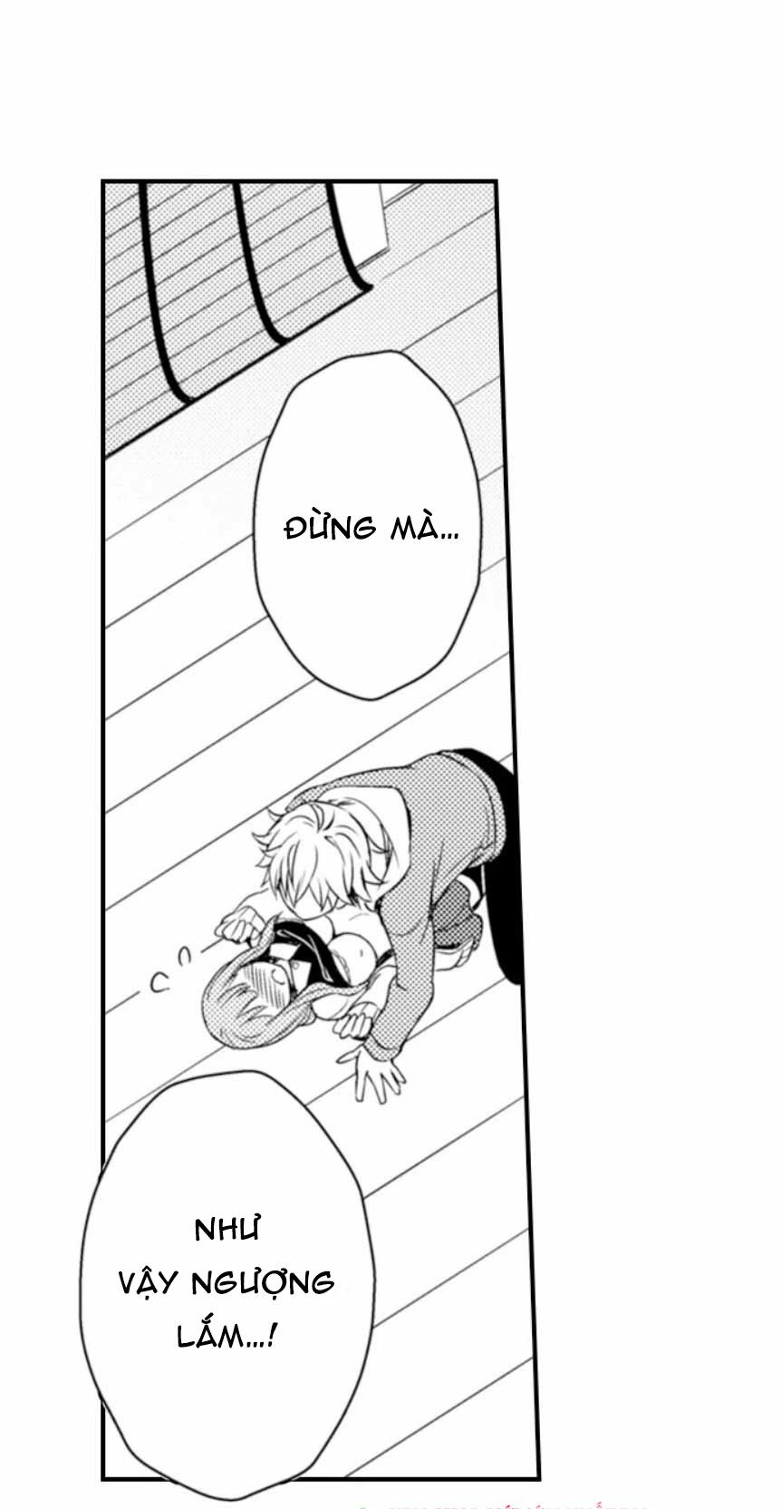 Cô dâu Cửu Vỹ Hồ: Chapter 2