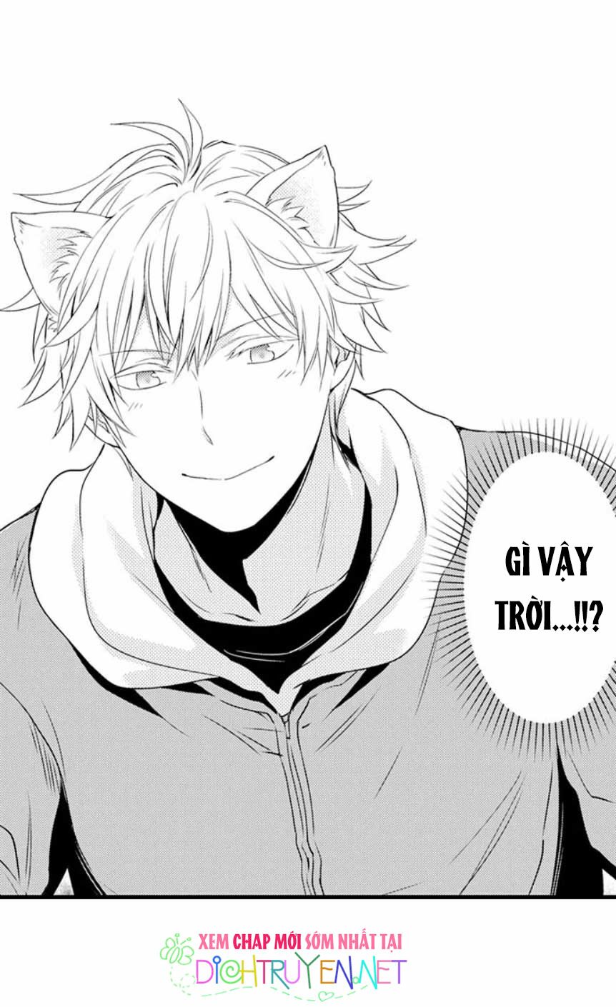Cô dâu Cửu Vỹ Hồ: Chapter 2