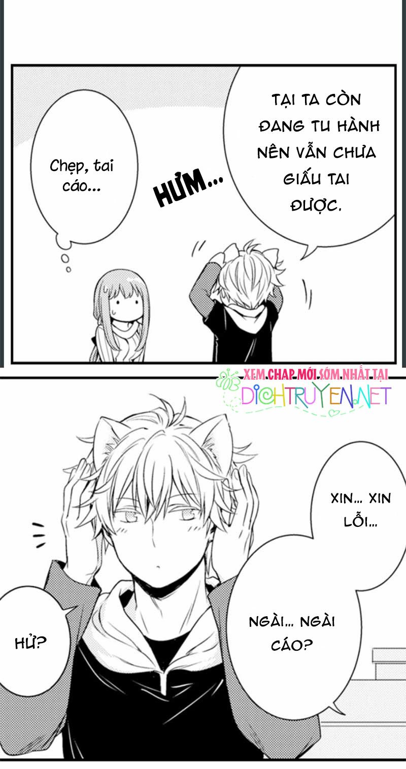Cô dâu Cửu Vỹ Hồ: Chapter 5