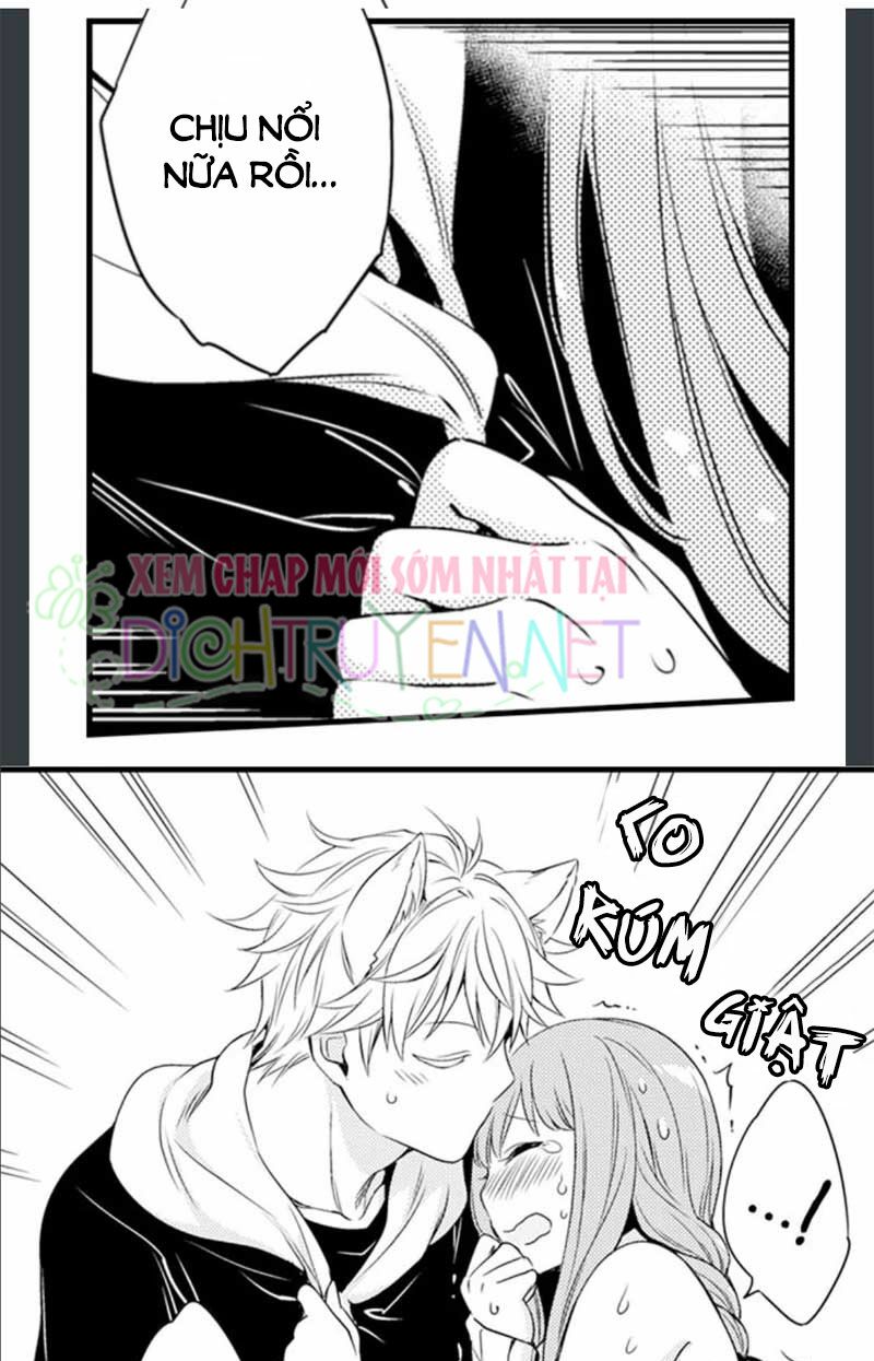 Cô dâu Cửu Vỹ Hồ: Chapter 6