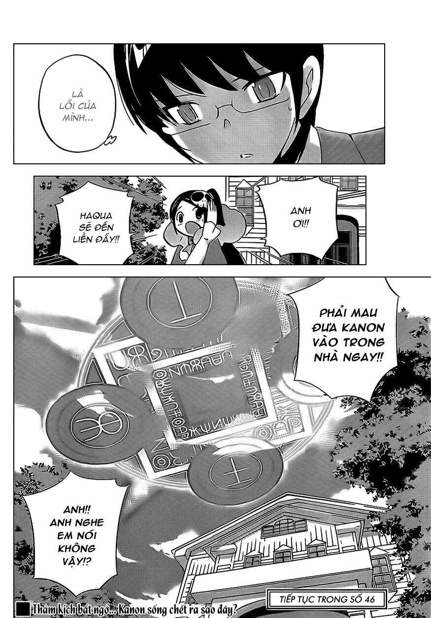 The World God Only Knows - Kami nomi zo Shiru Sekai: Chapter 116
