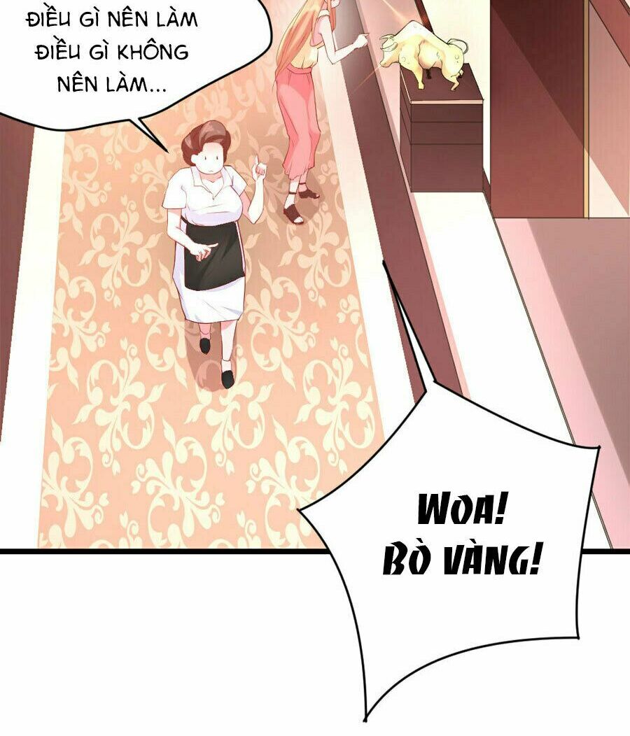 Tiểu Bạch Điềm Thê Của Long Thiếu: Chapter 5