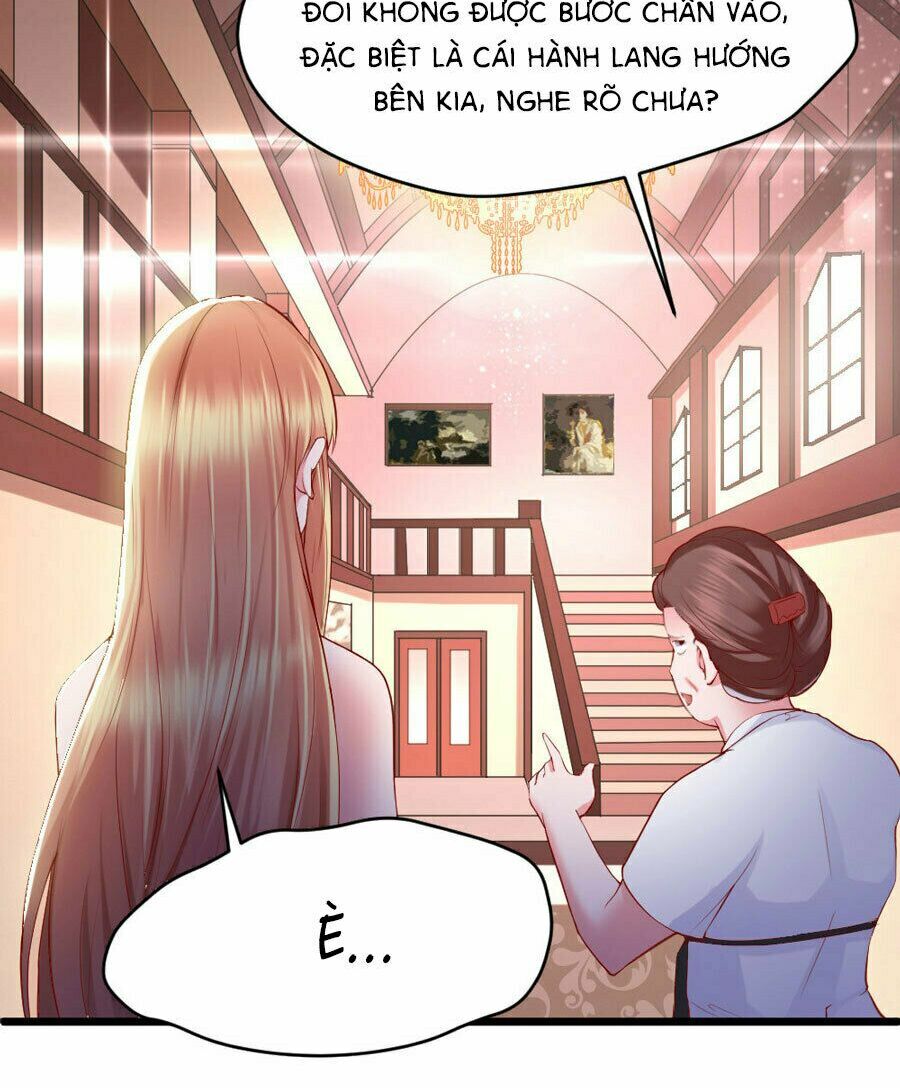 Tiểu Bạch Điềm Thê Của Long Thiếu: Chapter 5