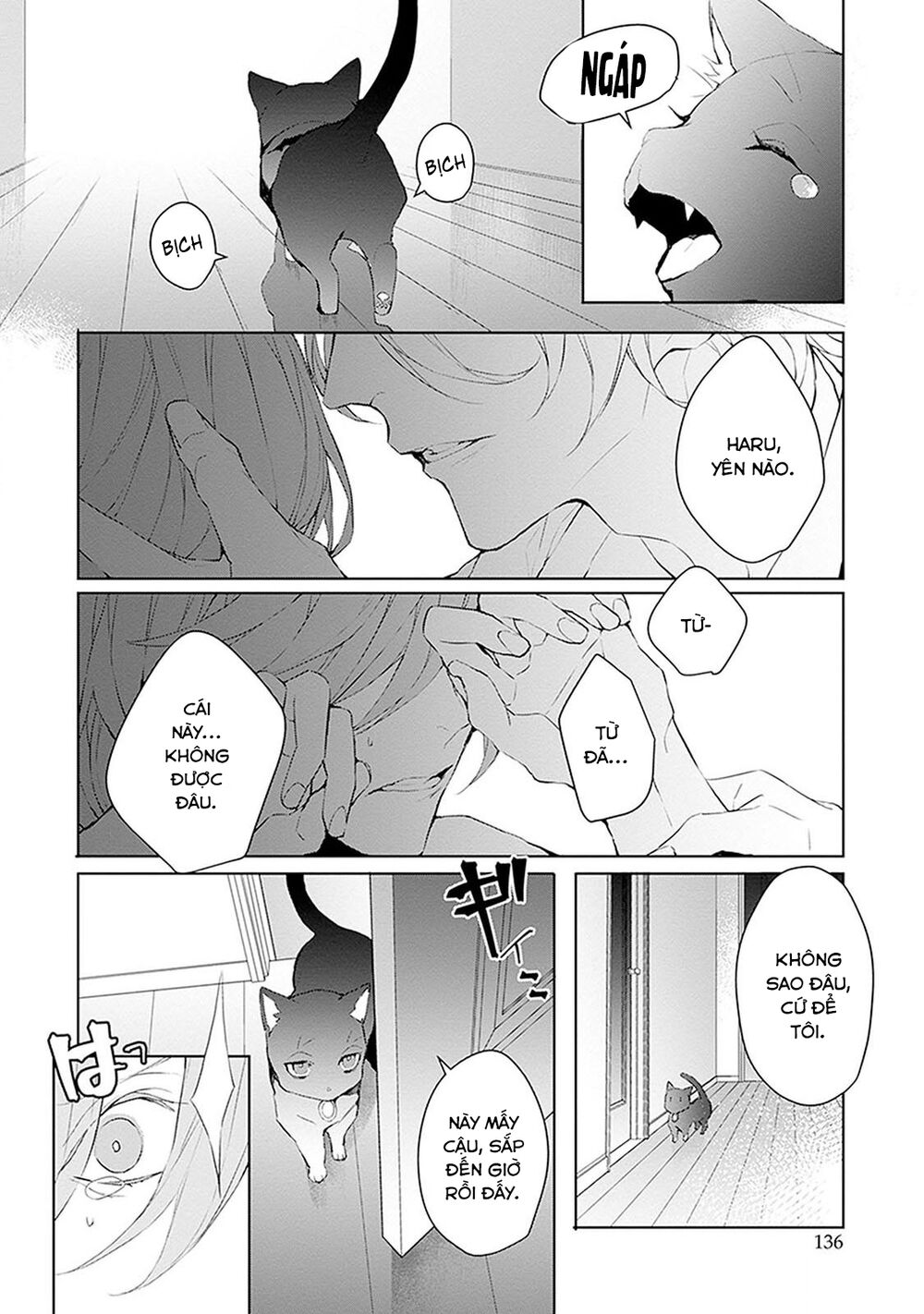 Ballad X Opera: Chapter 14: Một đêm là Prima donna