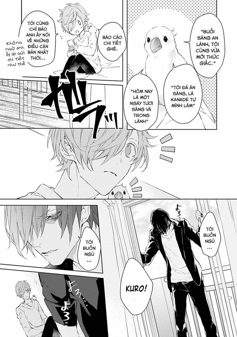 Ballad X Opera: Chapter 7: Thăm dò tổng quan