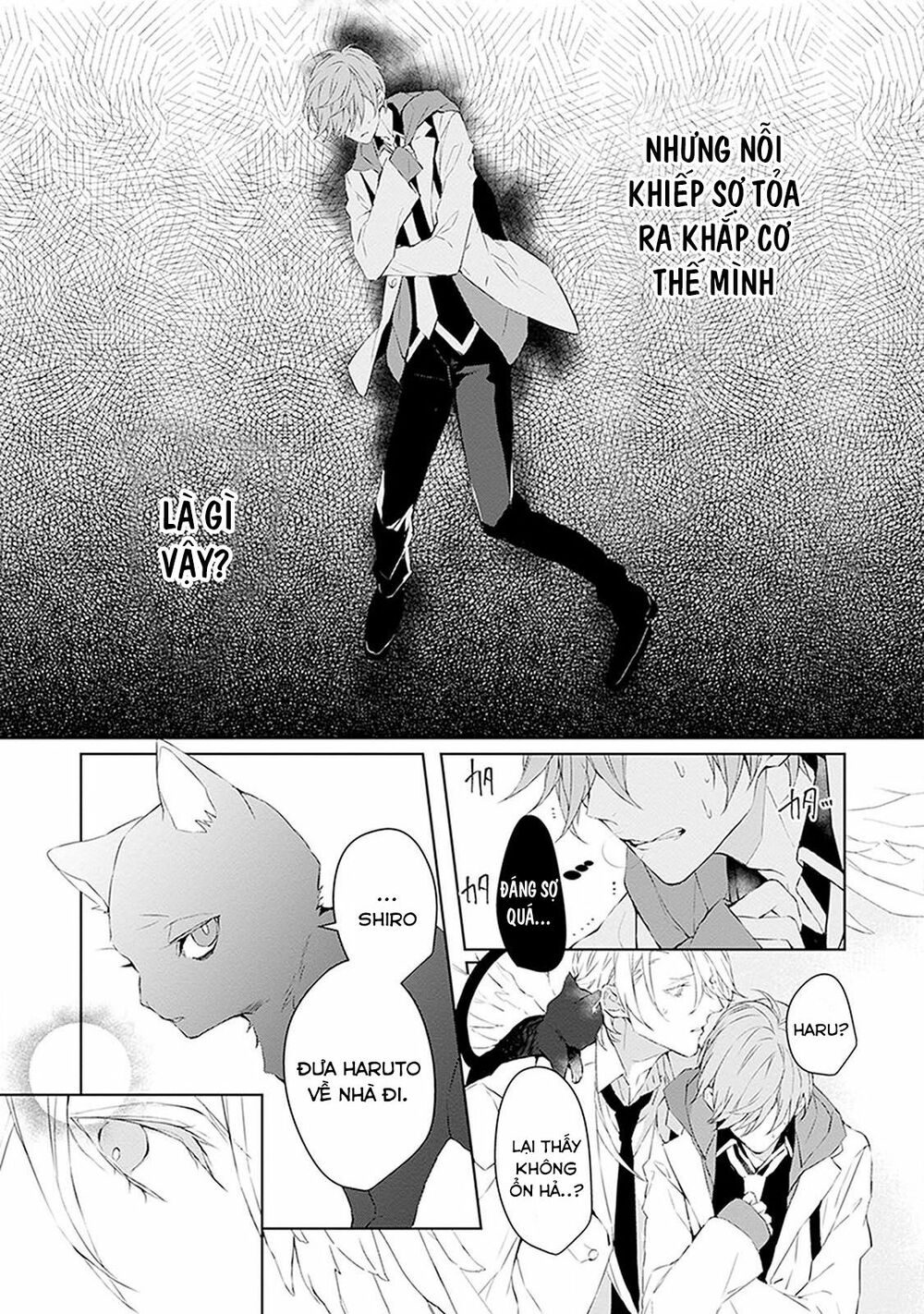 Ballad X Opera: Chapter 7: Thăm dò tổng quan