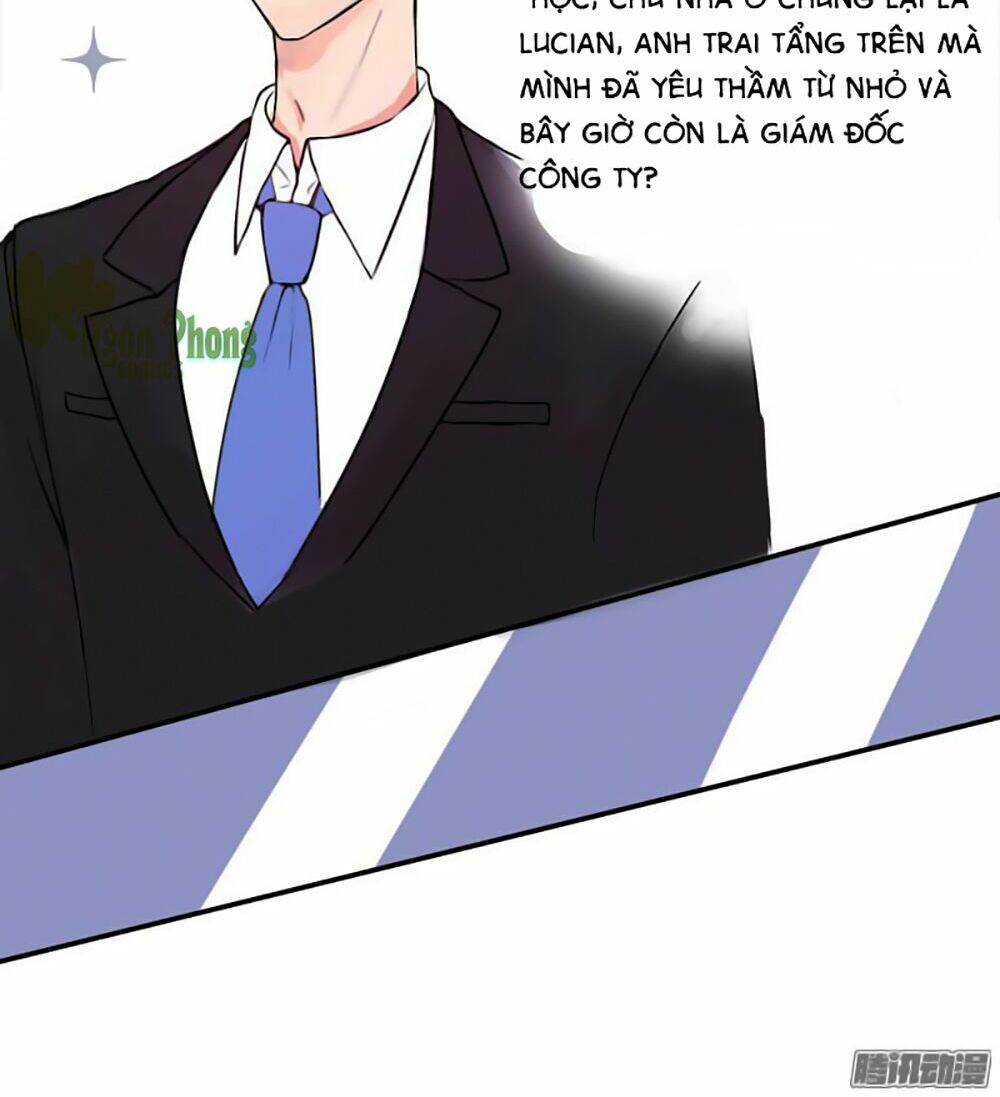 Quay Đầu Nhìn Lại, Anh Yêu Em!: Chapter 1