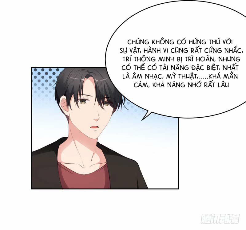 Quay Đầu Nhìn Lại, Anh Yêu Em!: Chapter 28