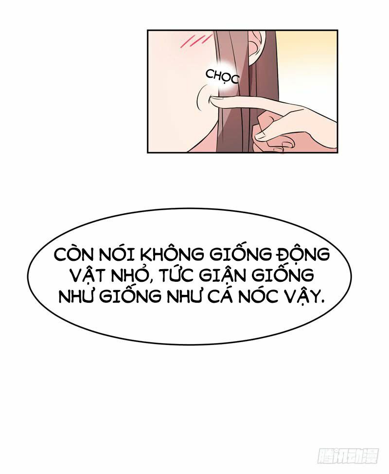 Quay Đầu Nhìn Lại, Anh Yêu Em!: Chapter 33
