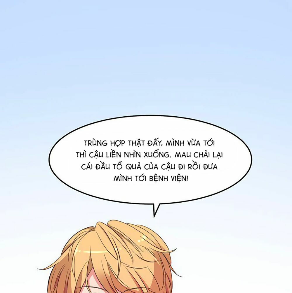 Quay Đầu Nhìn Lại, Anh Yêu Em!: Chapter 5