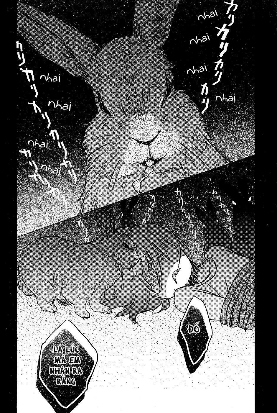 Ký Túc Xá Dễ Thương: Chapter 73