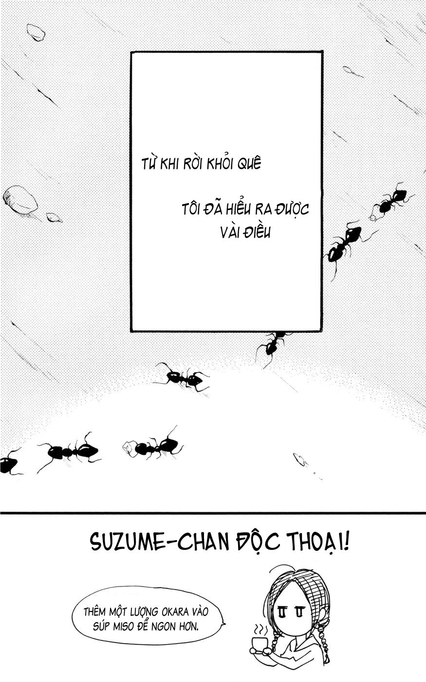 Sao Mai của em: Chapter 2