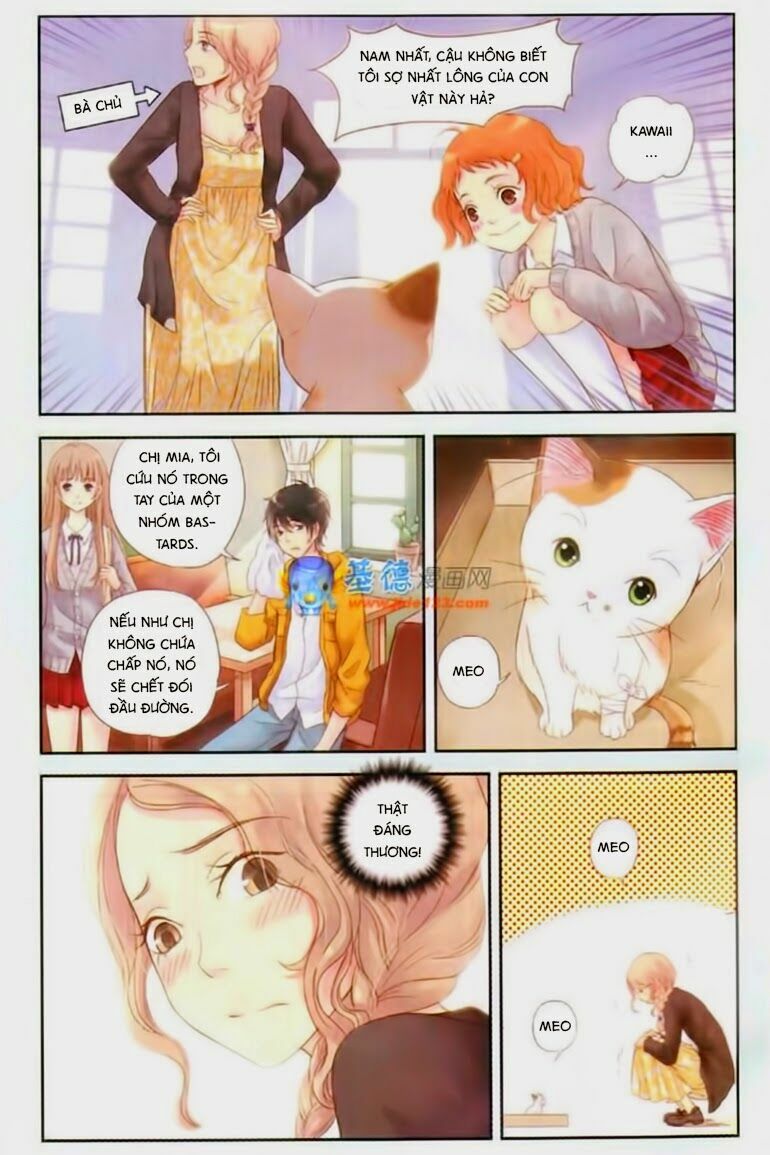 Bạc Hà Chi Hạ: Chapter 2