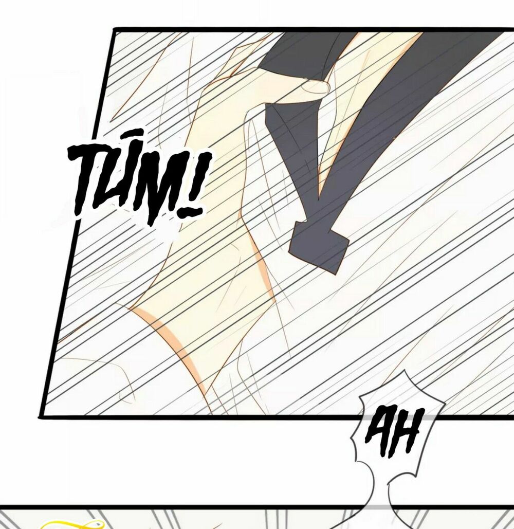 Điều giáo quan hệ: Chapter 13