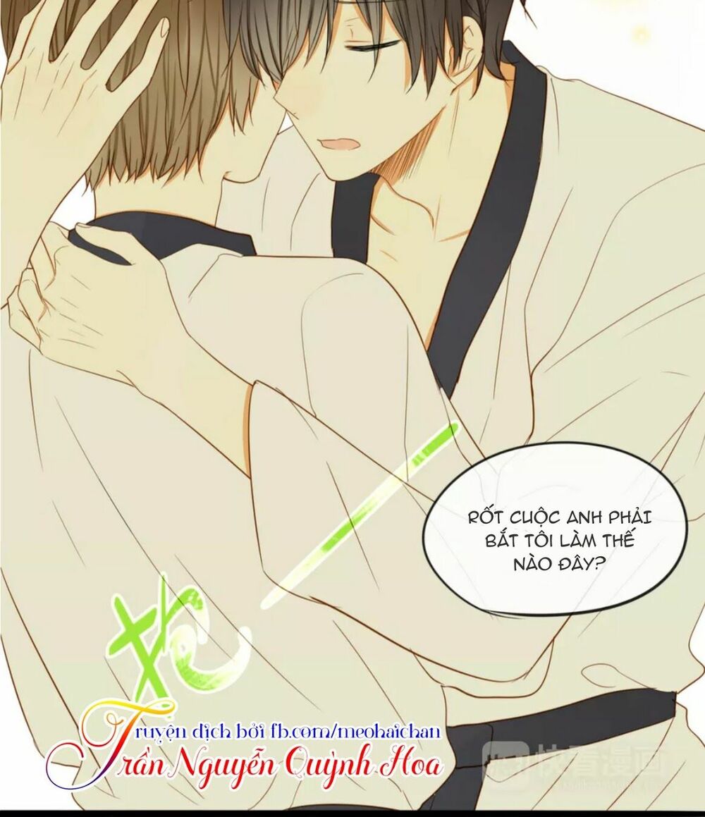 Điều giáo quan hệ: Chapter 14