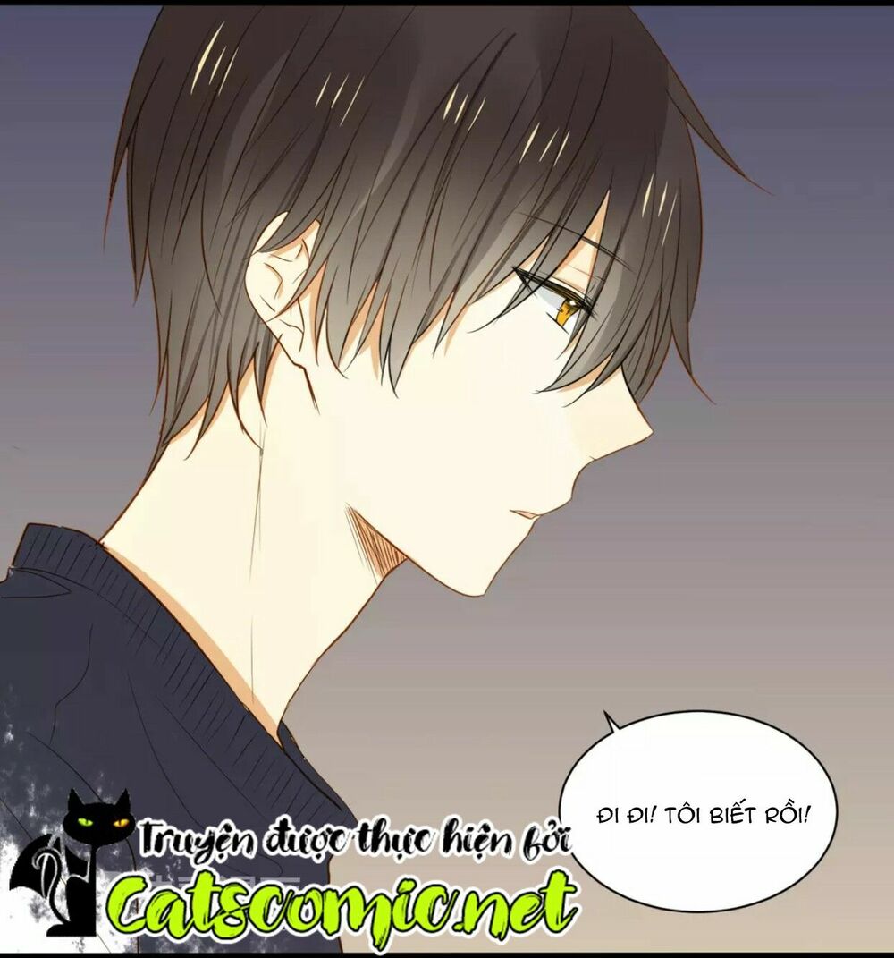 Điều giáo quan hệ: Chapter 15