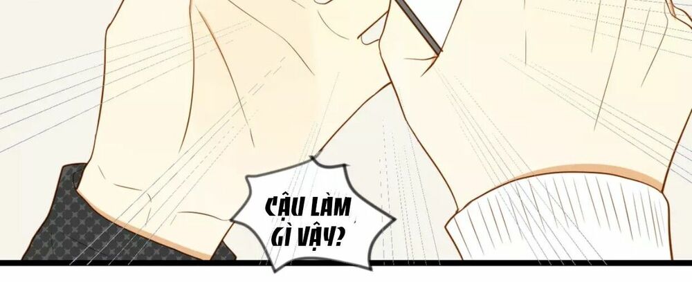 Điều giáo quan hệ: Chapter 15