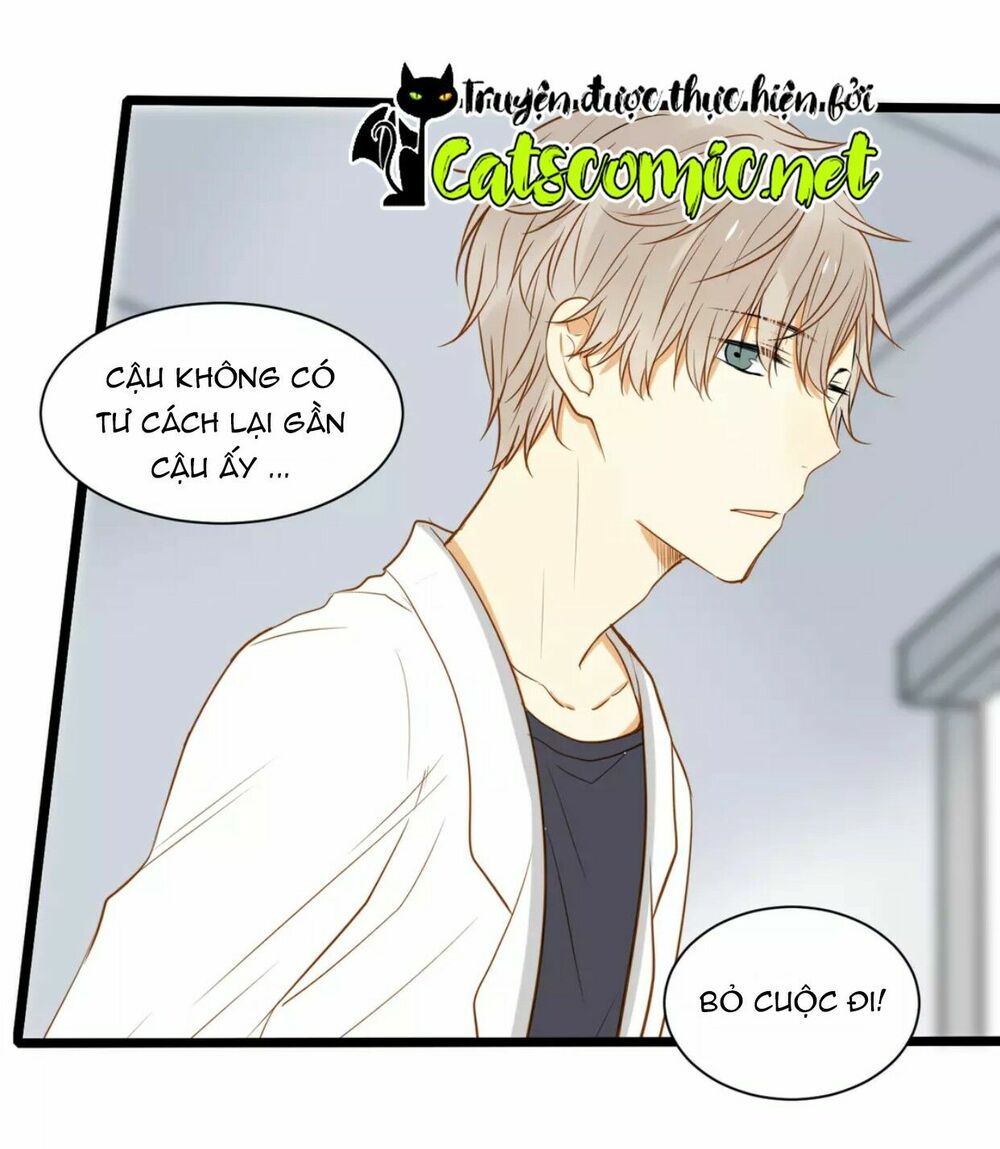 Điều giáo quan hệ: Chapter 19