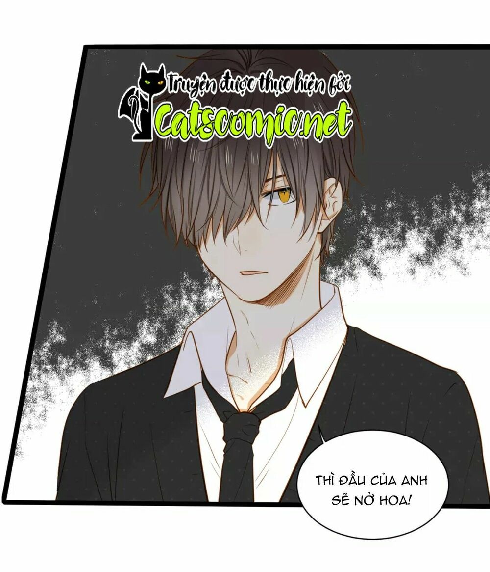 Điều giáo quan hệ: Chapter 19