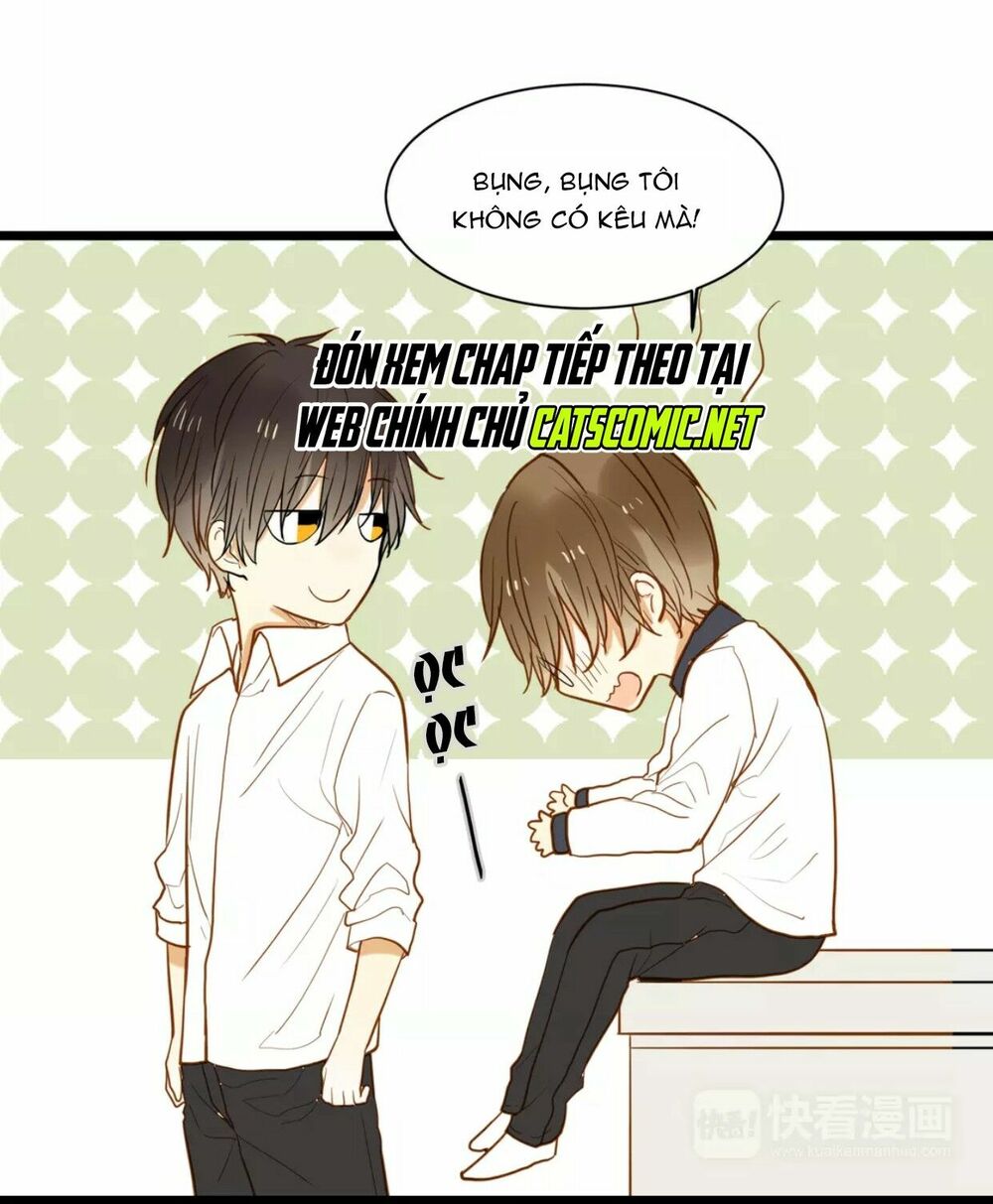 Điều giáo quan hệ: Chapter 23