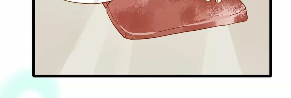 Điều giáo quan hệ: Chapter 23