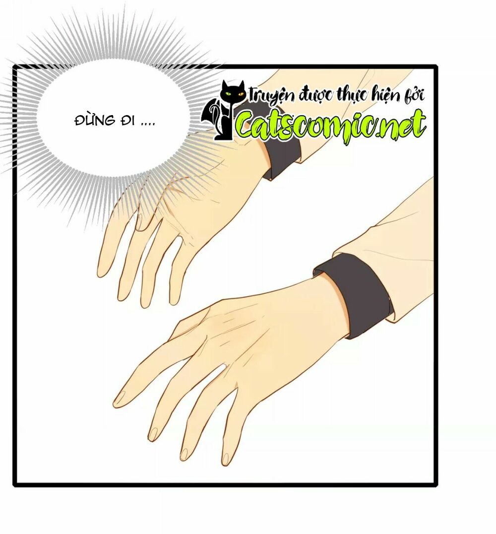 Điều giáo quan hệ: Chapter 23