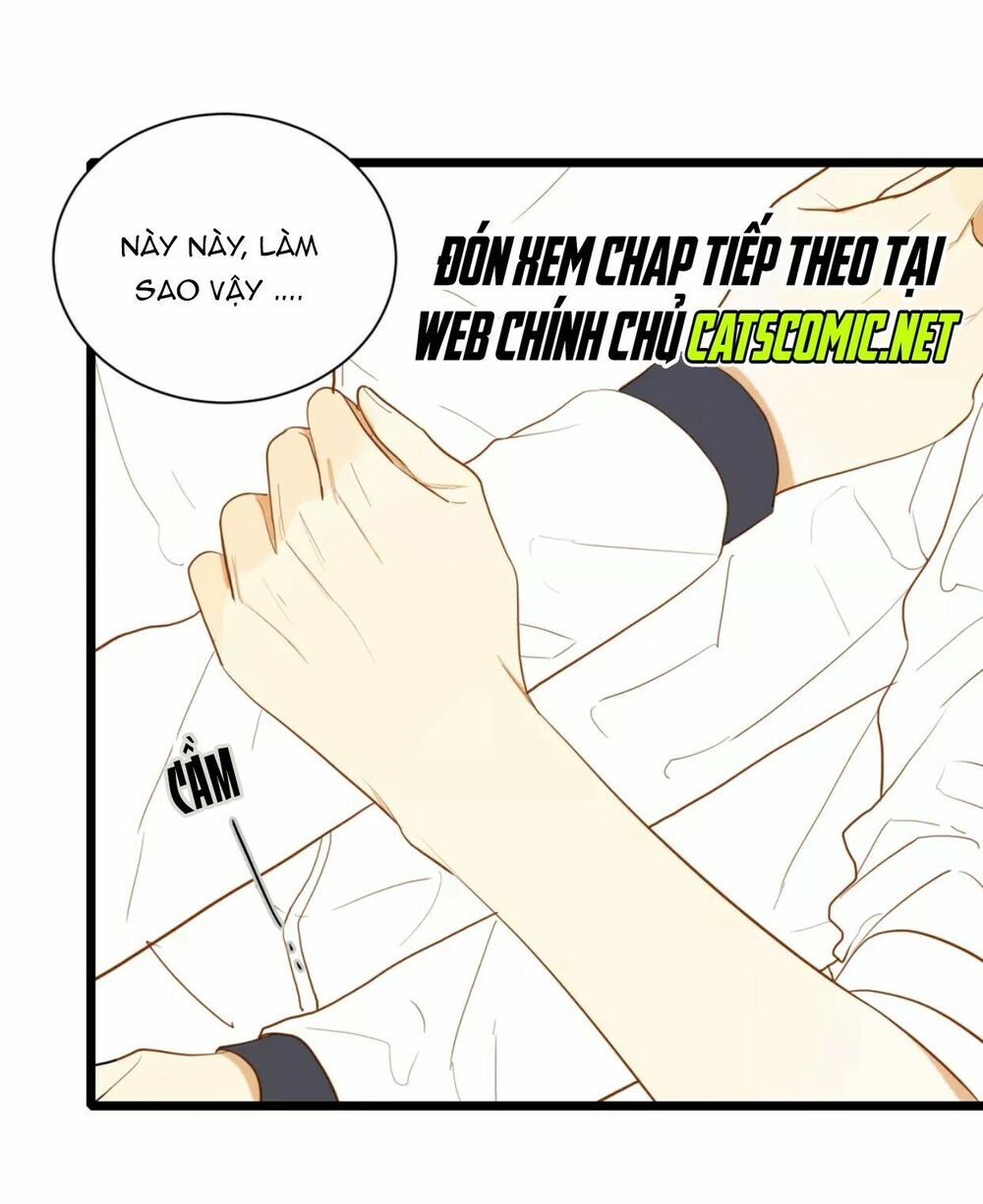 Điều giáo quan hệ: Chapter 23