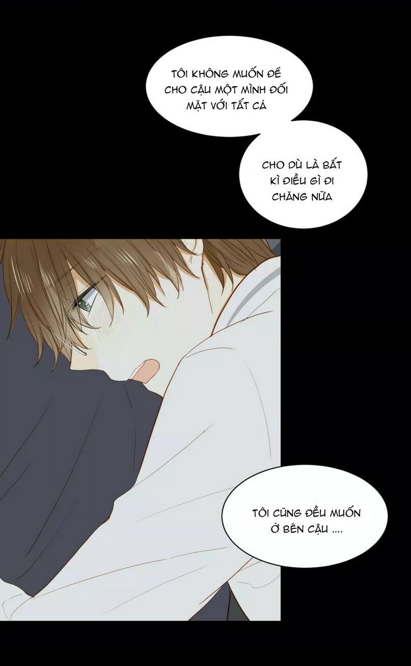 Điều giáo quan hệ: Chapter 25